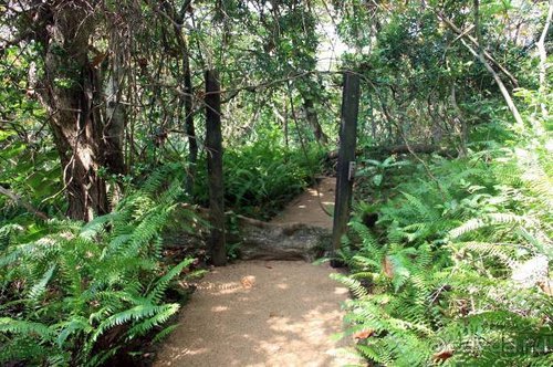 Горловка — Шри-Ланка