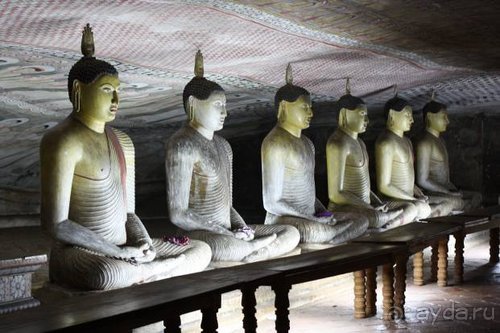 Горловка — Шри-Ланка