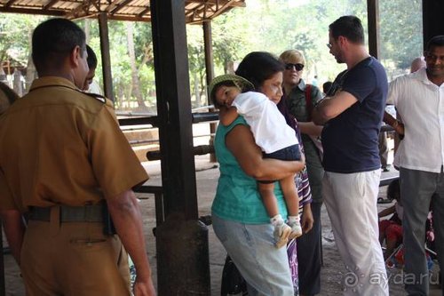 Горловка — Шри-Ланка