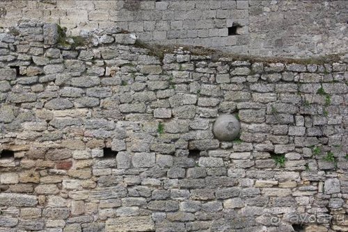 Дни смеха. Одесса + Украинская Венеция