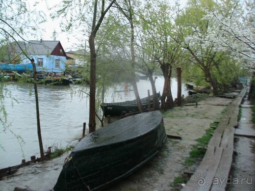 Дни смеха. Одесса + Украинская Венеция