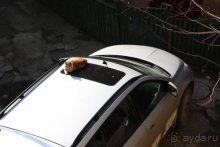 На Юморину в Одессу через Приднестровье и Молдавию