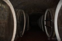 На Юморину в Одессу через Приднестровье и Молдавию