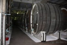 На Юморину в Одессу через Приднестровье и Молдавию