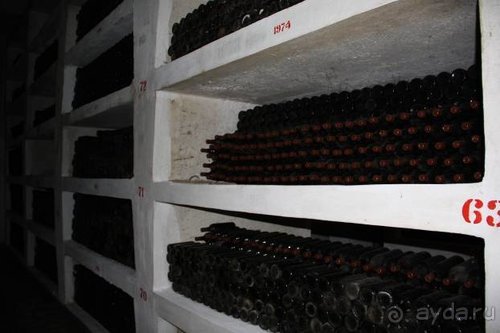 На Юморину в Одессу через Приднестровье и Молдавию