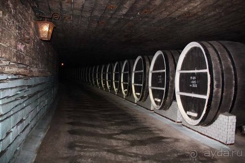 На Юморину в Одессу через Приднестровье и Молдавию