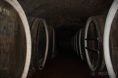 На Юморину в Одессу через Приднестровье и Молдавию