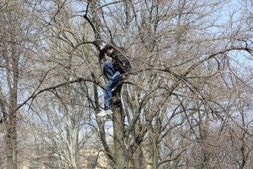 На Юморину в Одессу через Приднестровье и Молдавию