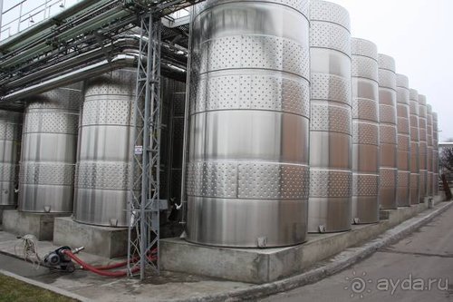 На Юморину в Одессу через Приднестровье и Молдавию