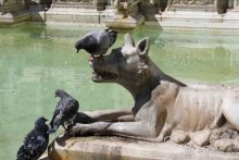 Украина — Венгрия — Австрия — Италия и обратно