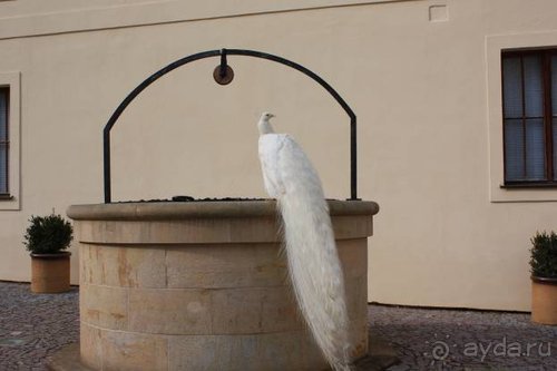 Вся Чехия вдоль и поперек