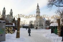 Олени, хаски и Полярный круг