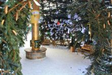 Олени, хаски и Полярный круг