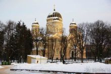 Альбом отзыва "Олени, хаски и Полярный круг"