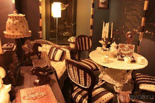 Олени, хаски и Полярный круг