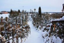 Олени, хаски и Полярный круг