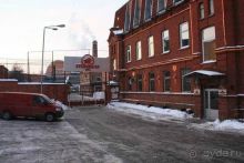 Олени, хаски и Полярный круг