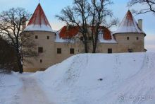 Олени, хаски и Полярный круг