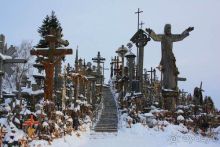 Олени, хаски и Полярный круг