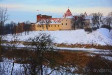 Олени, хаски и Полярный круг