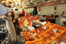 Олени, хаски и Полярный круг