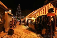 Олени, хаски и Полярный круг