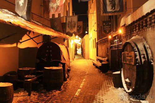 Олени, хаски и Полярный круг