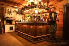 Олени, хаски и Полярный круг