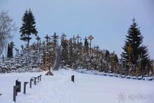 Олени, хаски и Полярный круг