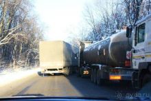 Олени, хаски и Полярный круг