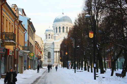 Олени, хаски и Полярный круг