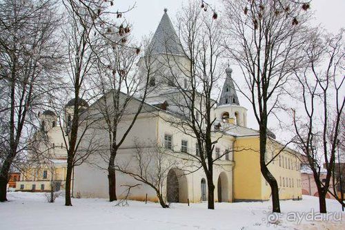 Олени, хаски и Полярный круг