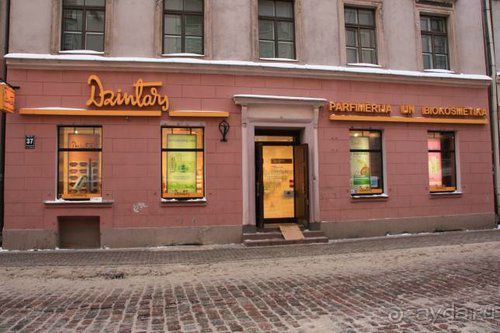 Олени, хаски и Полярный круг