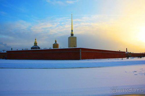 Олени, хаски и Полярный круг