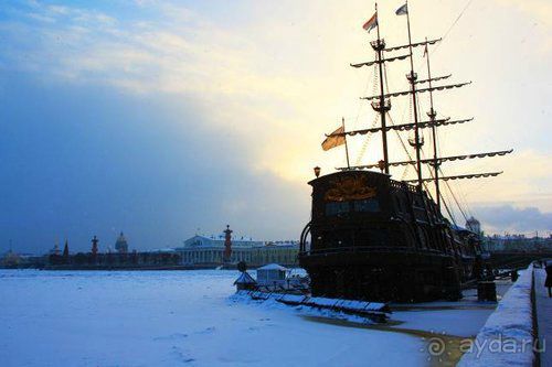 Олени, хаски и Полярный круг