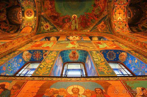 Олени, хаски и Полярный круг