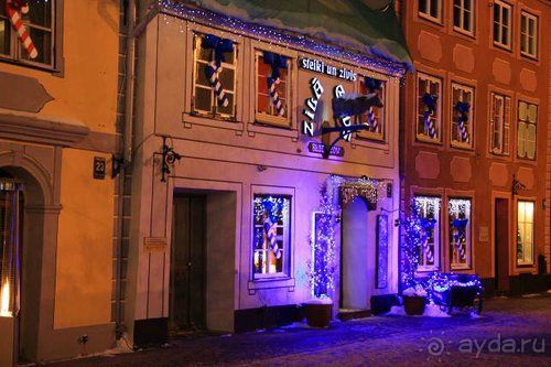 Олени, хаски и Полярный круг