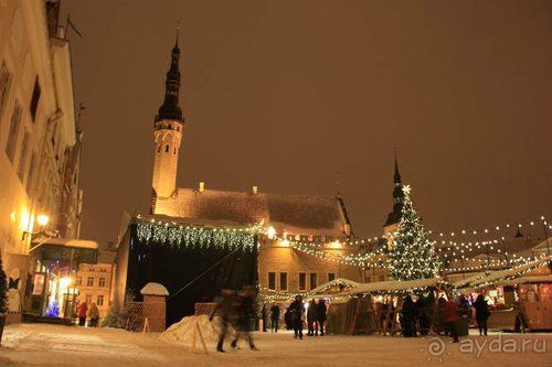 Олени, хаски и Полярный круг