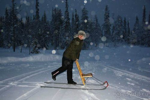 Олени, хаски и Полярный круг