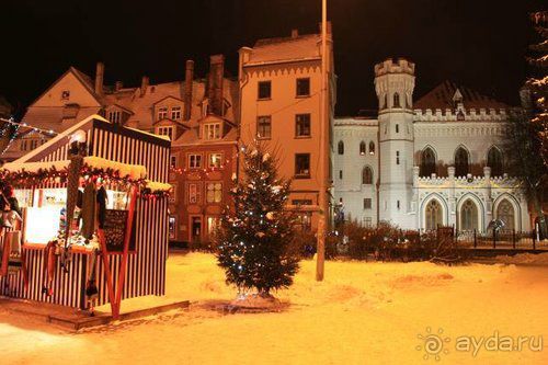 Олени, хаски и Полярный круг