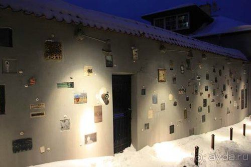 Олени, хаски и Полярный круг