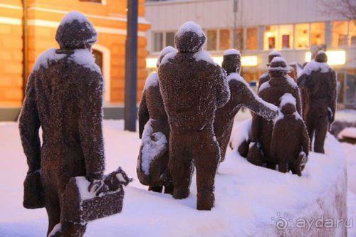 Олени, хаски и Полярный круг