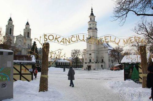 Олени, хаски и Полярный круг