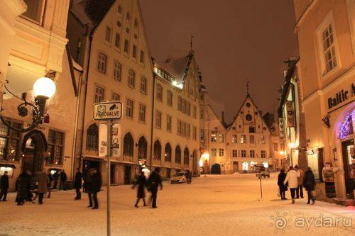 Олени, хаски и Полярный круг