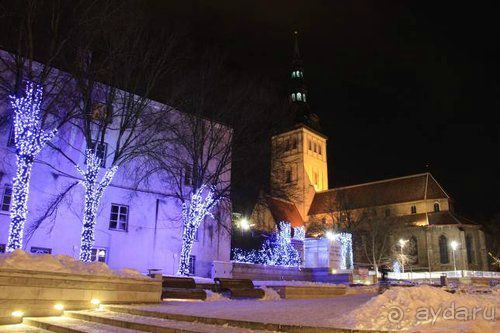 Олени, хаски и Полярный круг