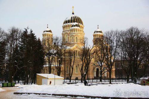 Олени, хаски и Полярный круг