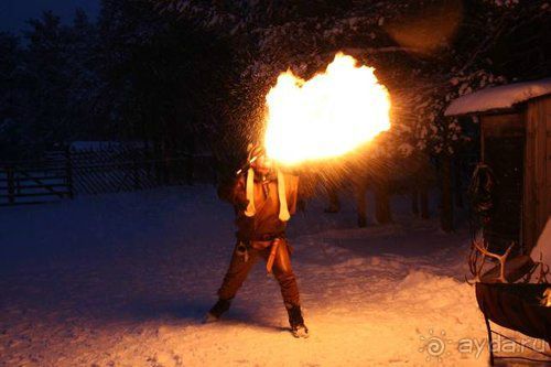 Олени, хаски и Полярный круг