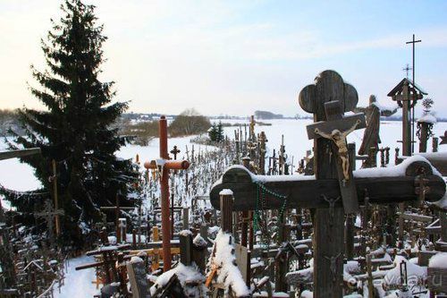 Олени, хаски и Полярный круг