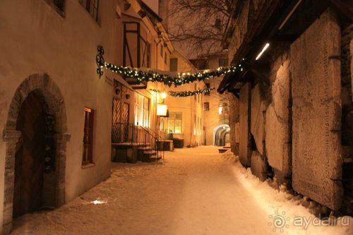 Олени, хаски и Полярный круг