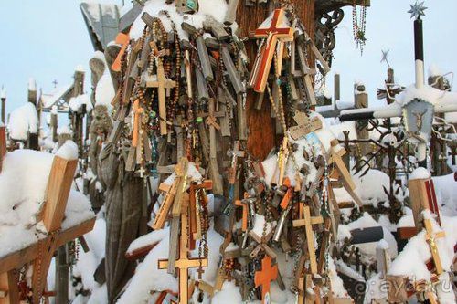 Олени, хаски и Полярный круг